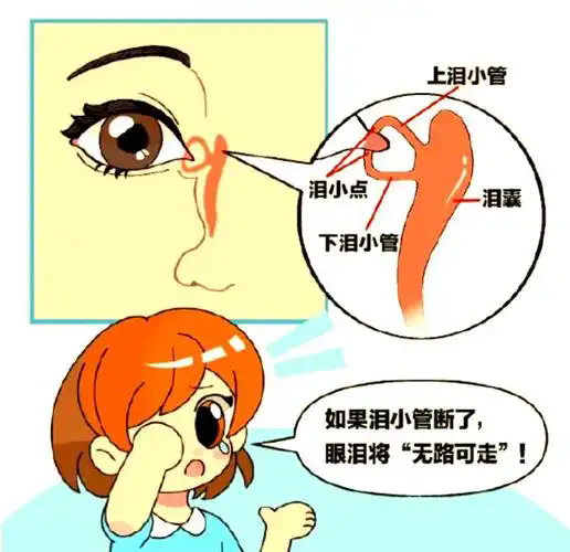 微信圖片_20250527090146.png
